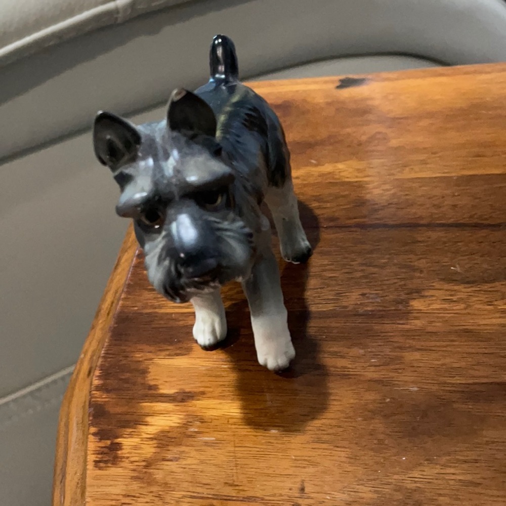 Dog statue chip on ear🐶